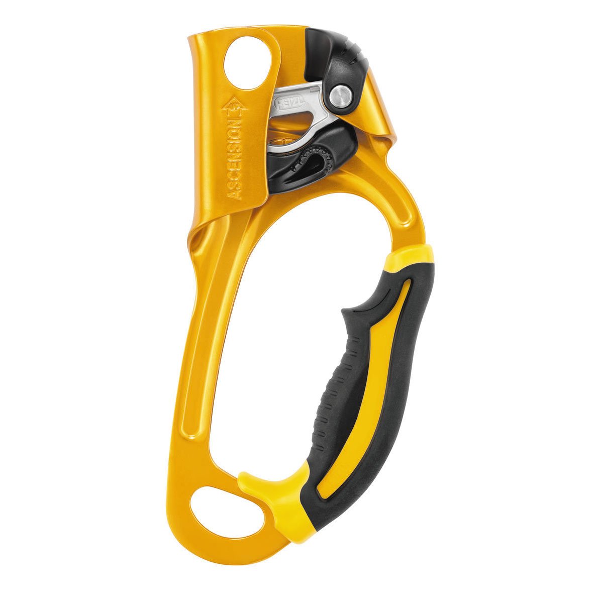 Petzl Ascension Right Handed